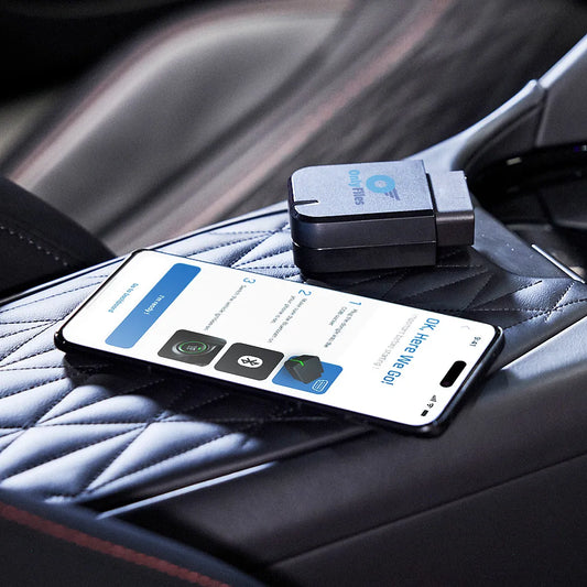 Only_Files_OBDII_Flasher_car